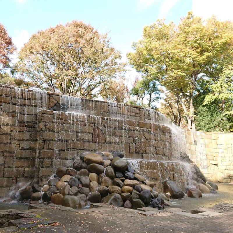 Shinjuku Central Park